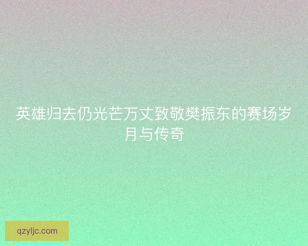 英雄归去仍光芒万丈致敬樊振东的赛场岁月与传奇