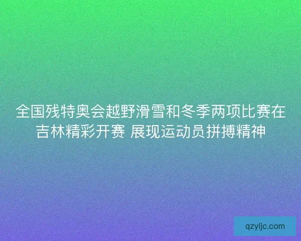 全国残特奥会越野滑雪和冬季两项比赛在吉林精彩开赛 展现运动员拼搏精神 全国残特奥会越野滑雪和冬季两项比赛在吉林精彩开赛 展现运动员拼搏精神