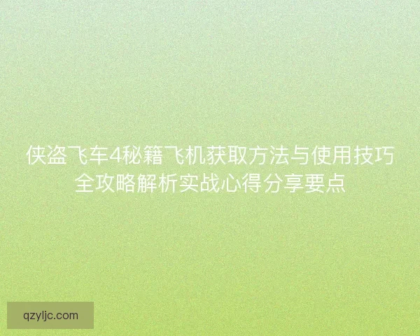 侠盗飞车4秘籍飞机获取方法与使用技巧全攻略解析实战心得分享要点